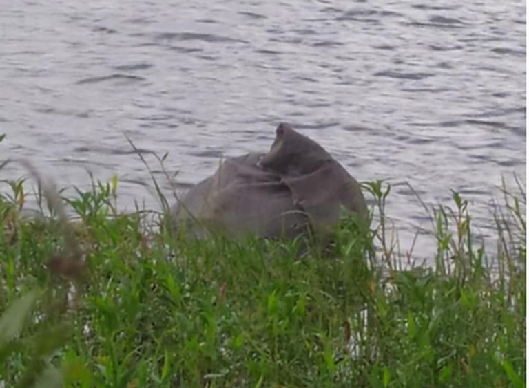 Corpo de homem é encontrado dentro de saco em barragem de Garanhuns